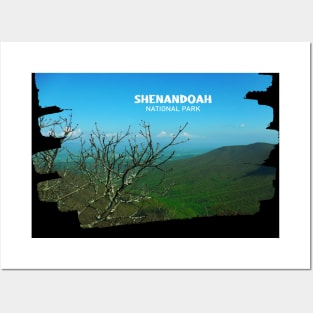 Pretty picture from Shenandoah National Park in Virginia photography Posters and Art